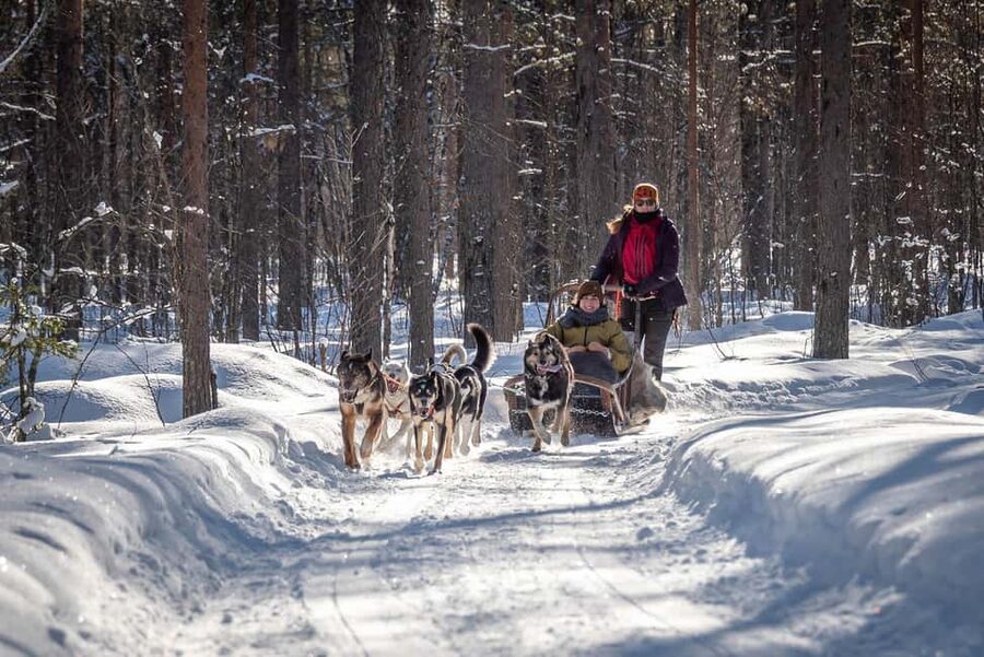 Levi Polar Lights Tours: Reindeer and Husky Taster - What this short Levi safari actually offers
