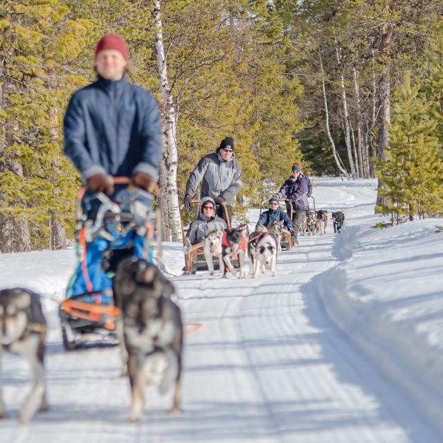 Levi Polar Lights Tours: Reindeer and Husky Taster - The 10-minute safety briefing
