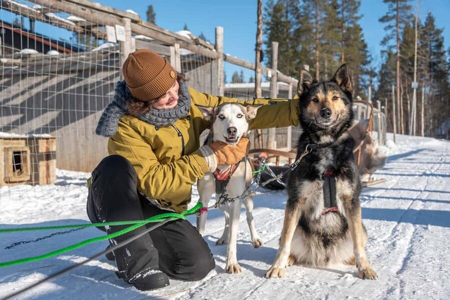 Levi Polar Lights Tours: Reindeer and Husky Taster - The reindeer sleigh: quiet motion through snow