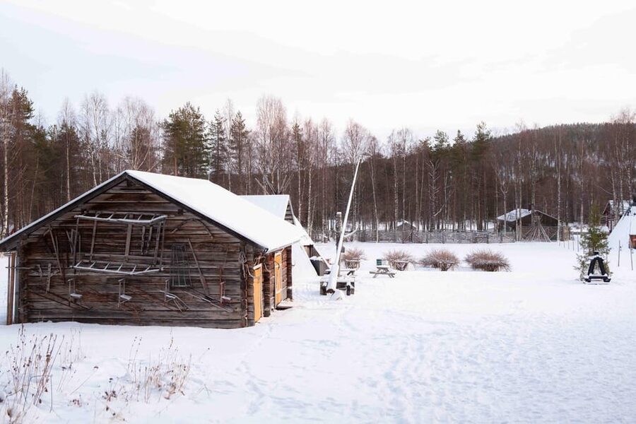 Levi: Reindeer Farm E-Fatbike Safari - What snowy e-fatbike riding feels like