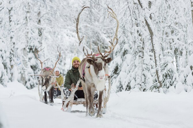Levi Reindeer Safari - Long or Quick - with Sledge Ride - Weather, snow, and animal welfare matter