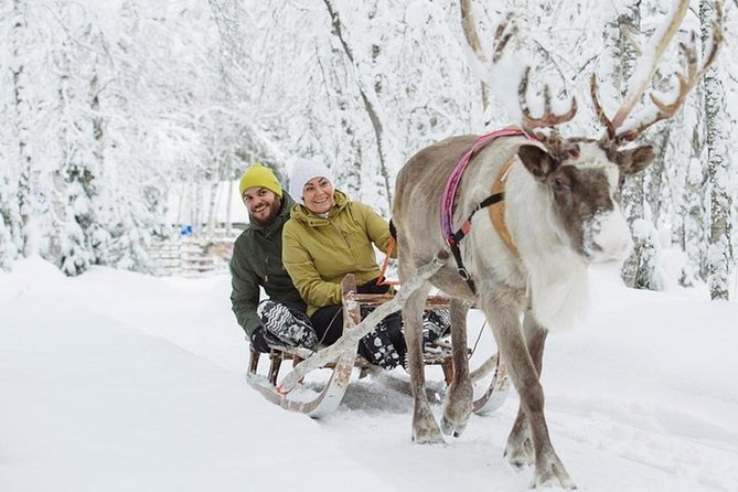 Levi Reindeer Safari - Long or Quick - with Sledge Ride - Pickup from Levi makes the price easier to understand