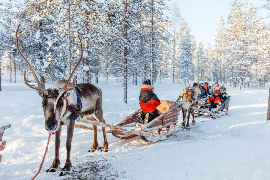 Levi: Reindeer Sleigh Ride Tour in Snowy Forest - Who may want a different Lapland activity?