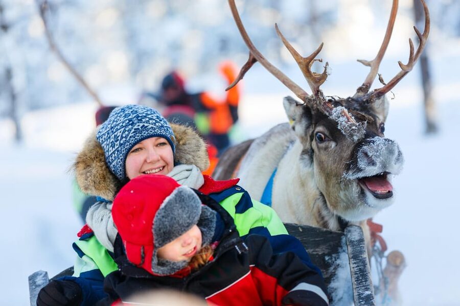 Levi: Reindeer Sleigh Ride Tour in Snowy Forest - Warming up beside the campfire