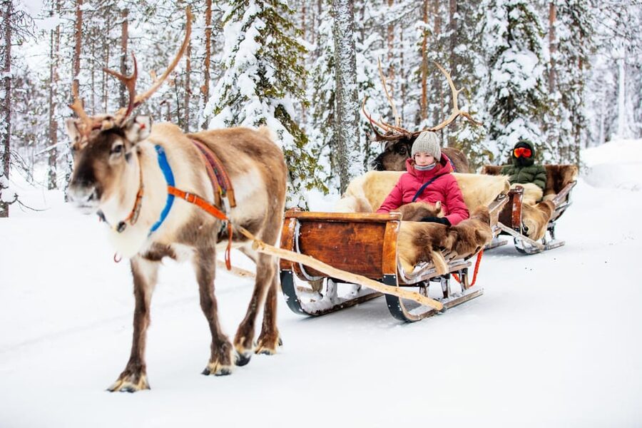 Levi: Reindeer Sleigh Ride Tour in Snowy Forest - Who will enjoy this most?