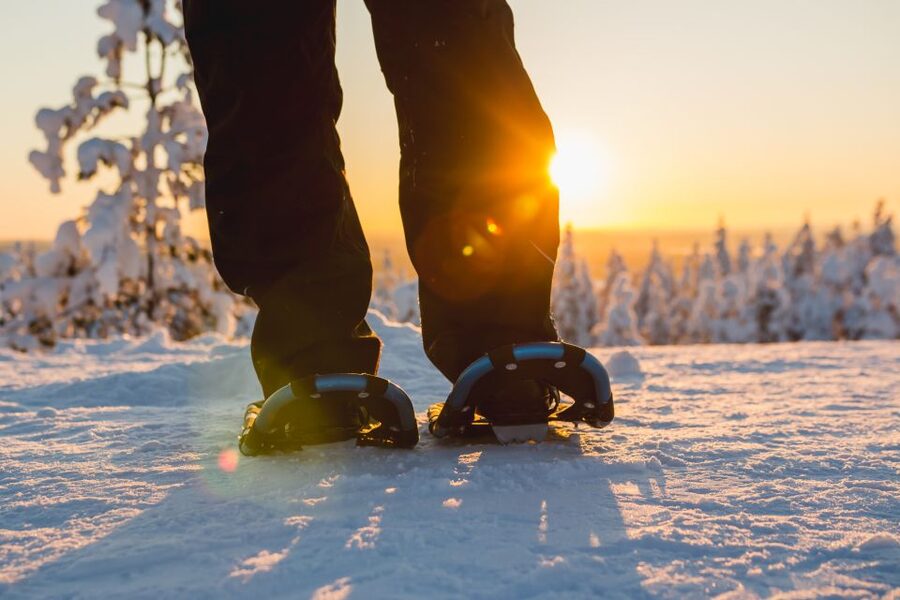 Levi: Scenic Levi Snowshoe Trip - Key points to know before booking