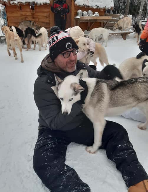 Levi: Self-Drive 2 KM Husky Sledding Experience - Key points to know before booking