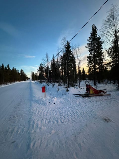 Levi: Self-Drive 2 KM Husky Sledding Experience - Hot drinks in the laavu