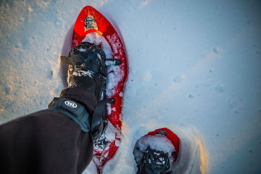 Levi: Snowshoe Adventure in the Wilderness - Leaving Sirkka for the Arctic forest