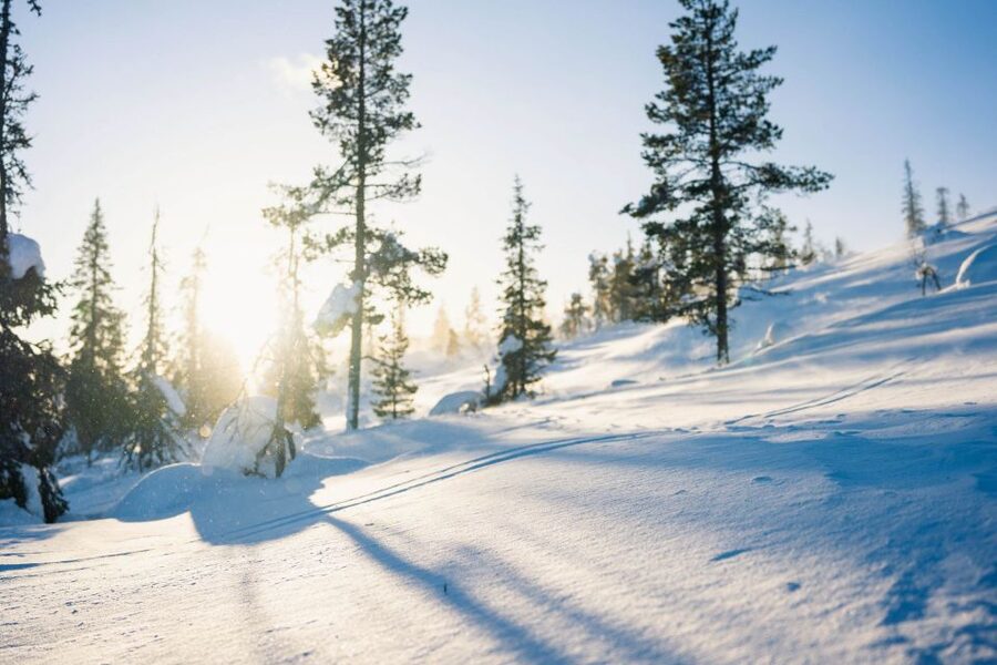 Levi: Snowshoe Adventure in the Wilderness - Practical limits you should understand