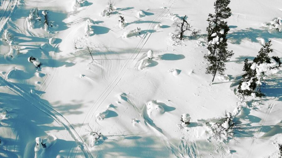 Levi: Snowshoe Adventure in the Wilderness - Getting used to snowshoes and poles