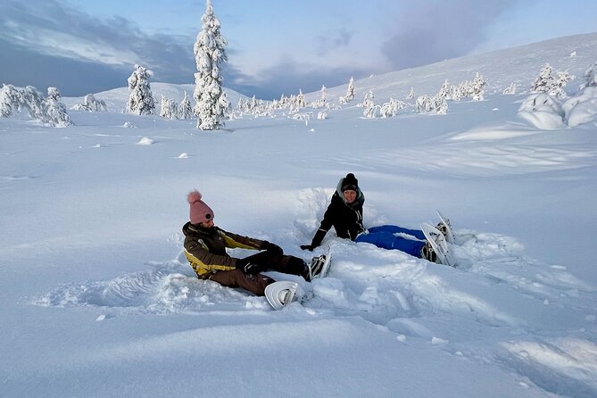 Levi: Snowshoeing adventure in the National Park - From Levi to the quiet of Pallas