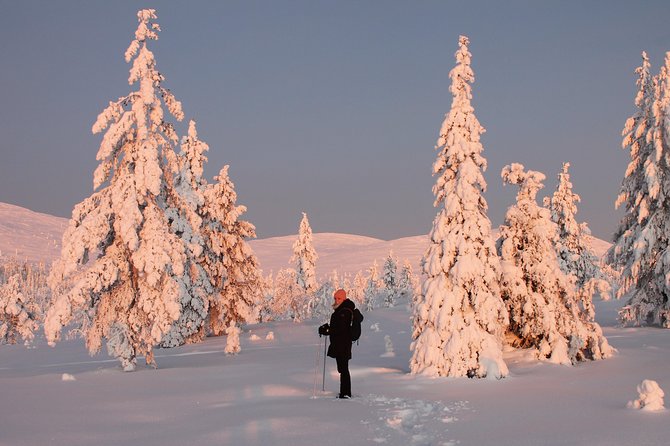Levi: Snowshoeing adventure in the National Park - Why the national park setting matters