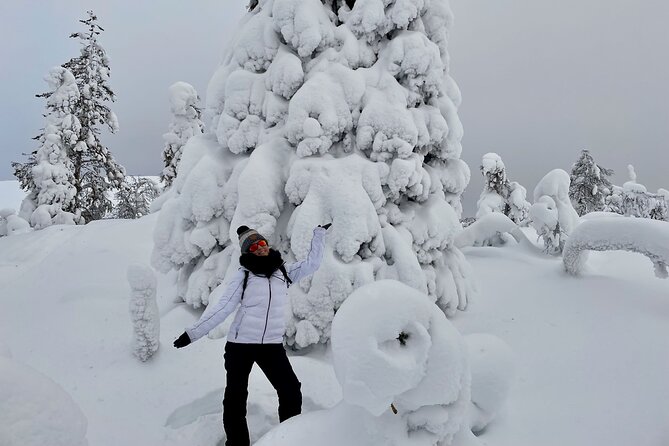 Levi: Snowshoeing adventure in the National Park - What the $191.56 price really covers