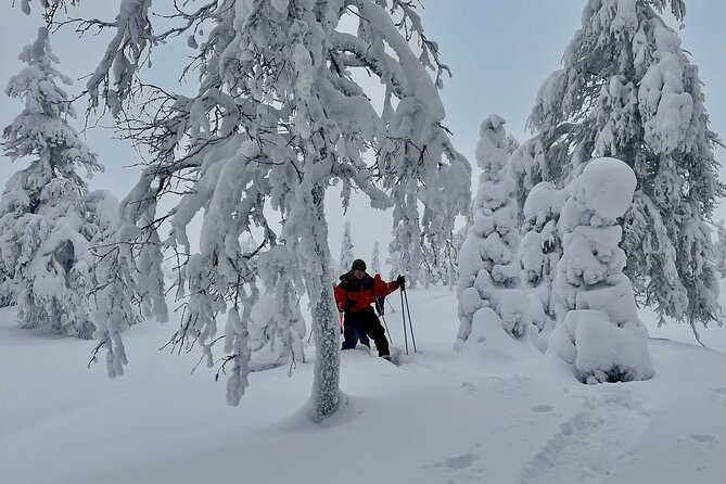 Levi: Snowshoeing adventure in the National Park - Timing, clothing, and practical planning
