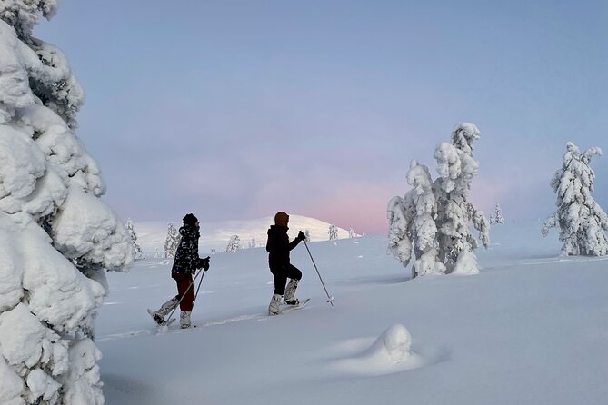 Levi: Snowshoeing adventure in the National Park - Is this Levi snowshoe tour worth booking?