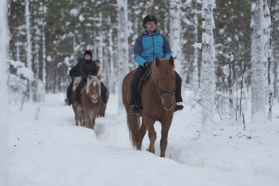 Levi: Snowy Forest Ride and Polar Lights Tours - Key points to know before you book