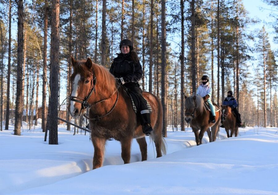 Levi: Snowy Forest Ride and Polar Lights Tours - Choosing the right departure time