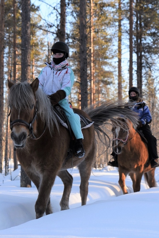 Levi: Snowy Forest Ride and Polar Lights Tours - The safety briefing and meeting your Finnhorse