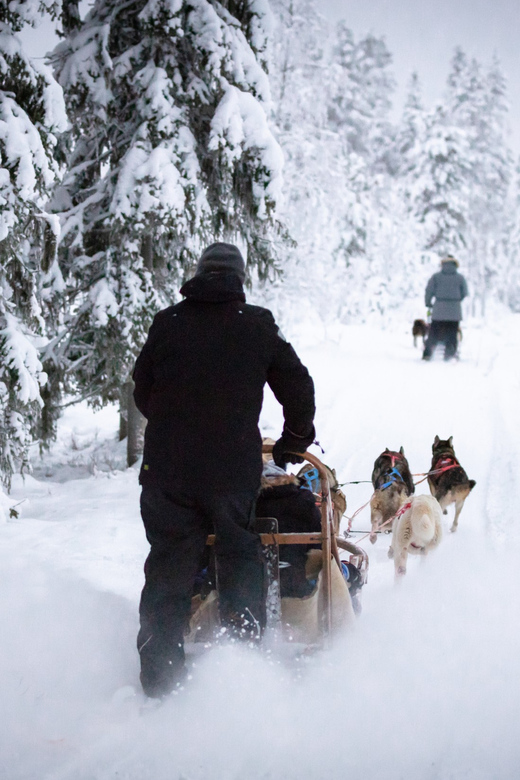 Levi: Winter Highlights Family Day - Timing, pace, and the value of $234