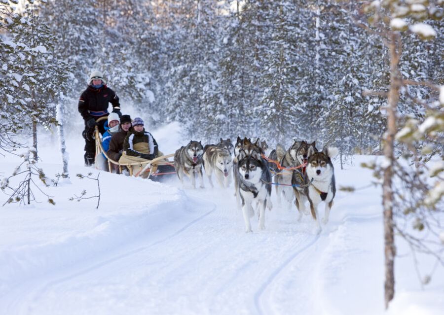 Levi: Winter Highlights Tour with Snowmobiling - Meeting the Siberian huskies