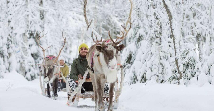 Levi: Winter Highlights Tour with Snowmobiling - The snowmobile safari across Levi’s snow