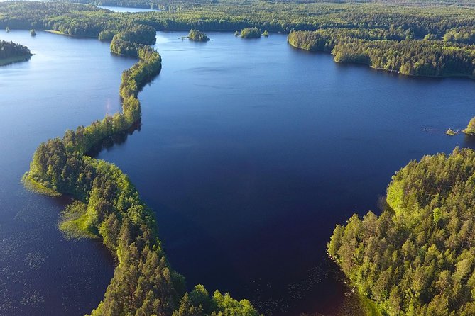 Magical Taiga Forest Hike with Lunch and Transportation - The Return Walk and 4:00 p.m. Drop-Off