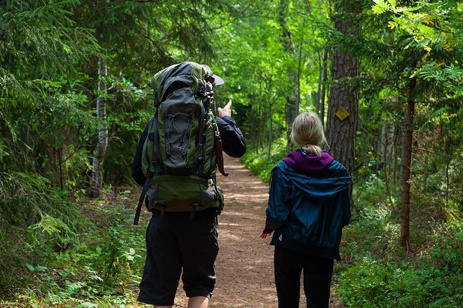 Magical Taiga Forest Hike with Lunch and Transportation - Weather, Water, and What to Bring