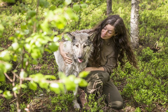Meet Taivas & the Arctic Wolves - Private Tour - Key points to know before booking