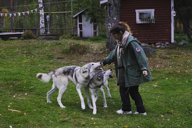 Meet Taivas & the Arctic Wolves - Private Tour - Getting there from Rovaniemi