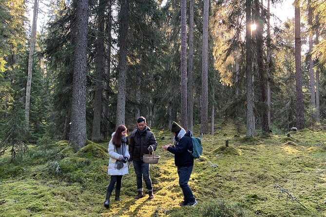Mushroom Hunting in a National Park - Lunch Beside the Lakeside Campfire