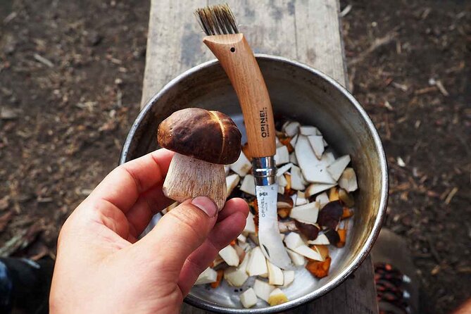 Mushroom Hunting in a National Park - The Walk Back and Return to Helsinki
