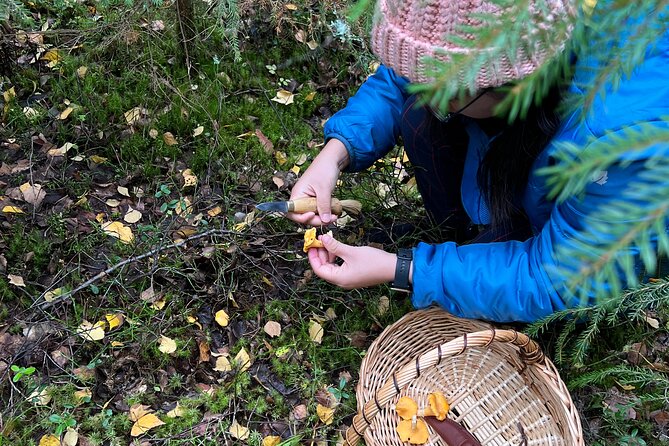 Mushroom Hunting in a National Park - Useful Details for a Smooth Day