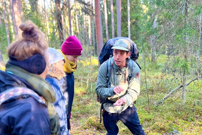 Mushroom Hunting in a National Park - What the Mushroom Hunt Feels Like