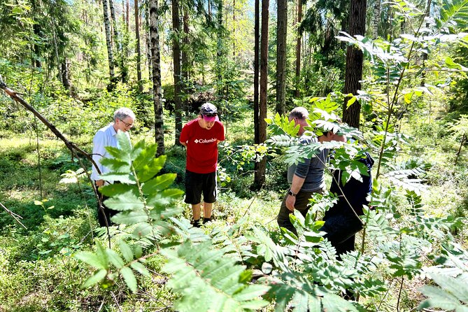 National Park Hike & Finnish Smoke Sauna Experience with Campfire Lunch - Is $199.62 a fair price?