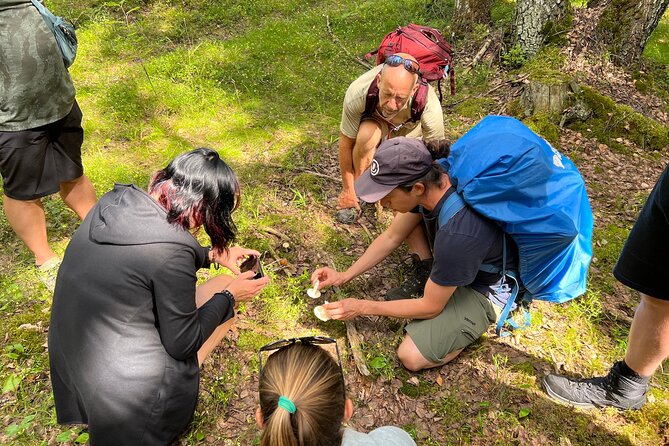 National Park Hike & Finnish Smoke Sauna Experience with Campfire Lunch - Practical details that make the day easier