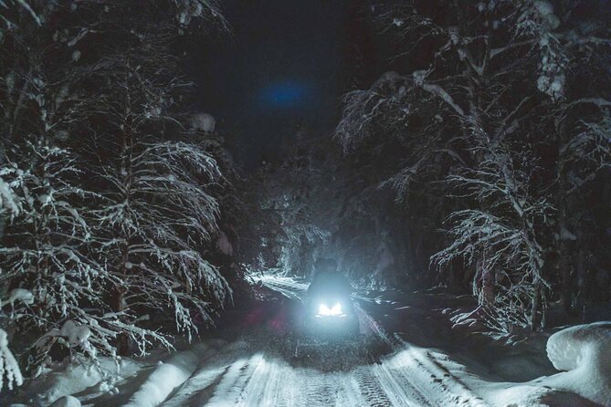Night Snowmobile Safari, Rovaniemi - Guide commentary and the feel of the group