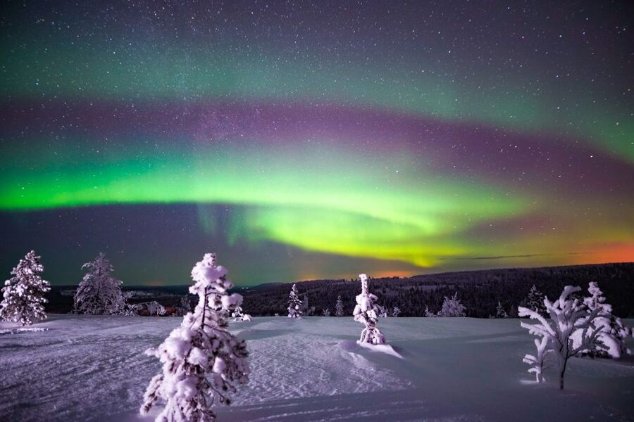 Night Snowshoeing Adventure under the Northern Lights - Should you book the Night Snowshoeing Adventure?