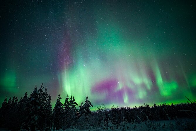 Night Snowshoeing Adventure under the Northern Lights - Is $125.10 a fair price?