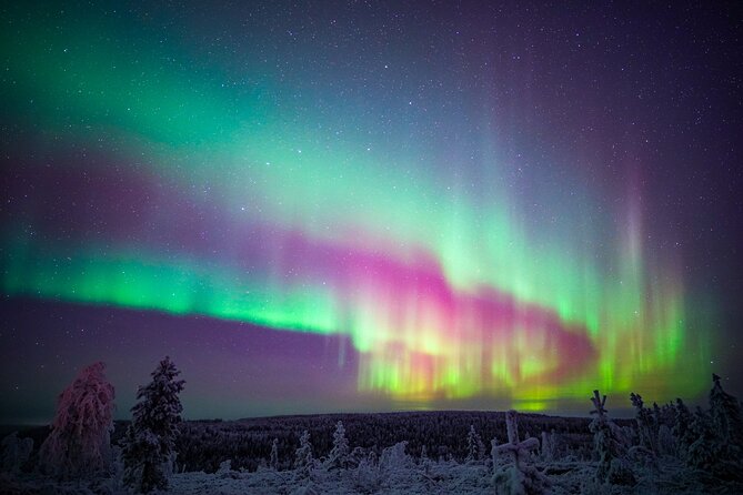 Night Snowshoeing Adventure under the Northern Lights - Who should book this evening walk?