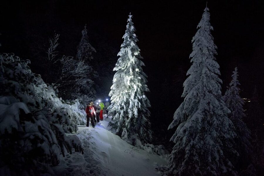Night Snowshoeing Lapland Experience - Key points before you book