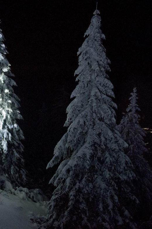 Night Snowshoeing Lapland Experience - Starting the night in Rovaniemi