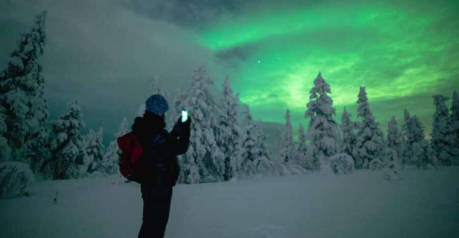 Night Snowshoeing Lapland Experience - Choosing between forest trails and a frozen lake