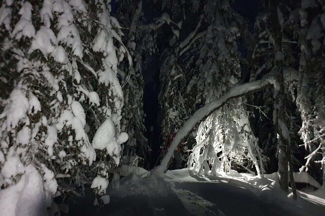 Nocturnal Skiing: Experience the Arctic's Magic - Getting started at Rytiniementie 10