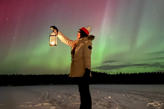 Northern Lights Adventure in the Wild with Campfire Treats - Leaving Levi at 9 p.m.