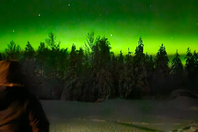 Northern Lights Auroras from Kemi-Tornio with Pickup - The coordination issue you should not ignore