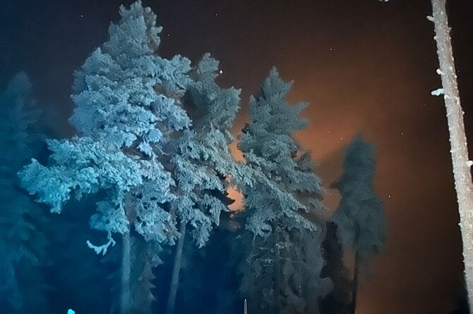 Northern Lights dinner in a Glass Igloo - Guides who shape the night