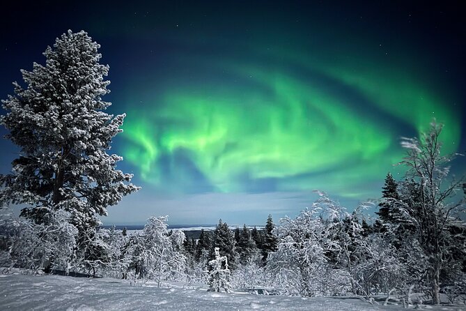 Northern Lights Holiday in Finland - Arriving in Ivalo and settling into Xwander Nordic