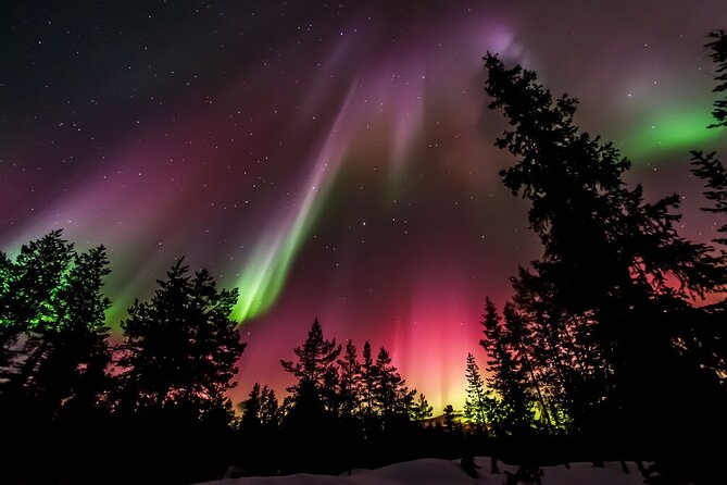 Northern Lights Hunt from Rovaniemi with Folk Tales and Snacks over Campfire - Finnish stories while the sky stays dark