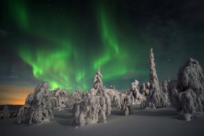 Northern Lights Hunt Including Snacks on Campfire from Levi - Leaving Levi for a darker winter setting